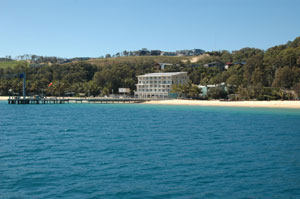 TANGALOOMA wild dolphin resort