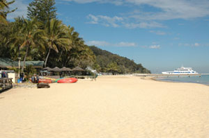 TANGALOOMA wild dolphin resort