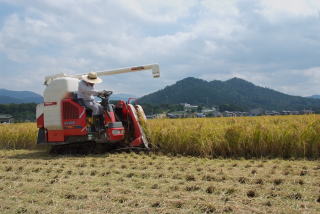 さわ泉の地産地消