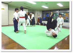 aikidouseibukan2