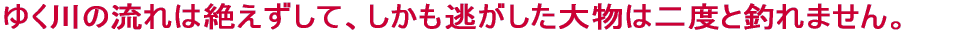 䂭̗͐₦āA啨͓xƒނ܂B