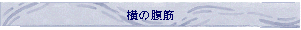 ̕