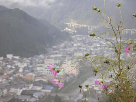 郡上八幡城からの市街