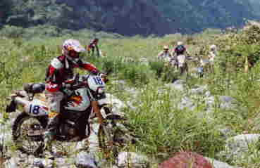 �킽�点�r�r�̂��悤