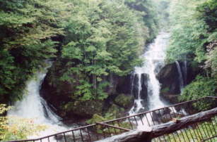 �������������̑�