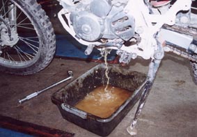 すっかり水です。まじで…。