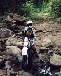 ��������n��