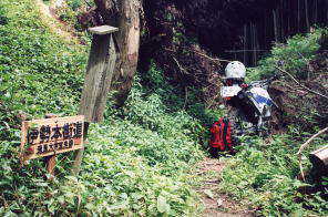 ���ɐ��X��