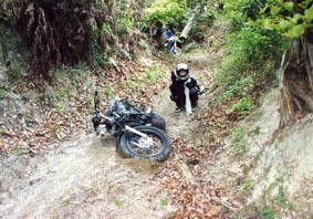 �R�P�Ă܂���