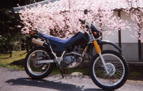 ����ׂ��̂��Ԍ�