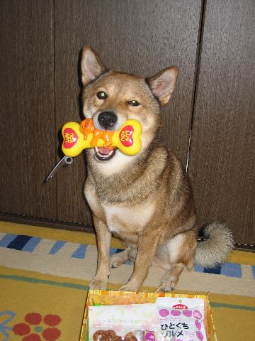 カウプレ