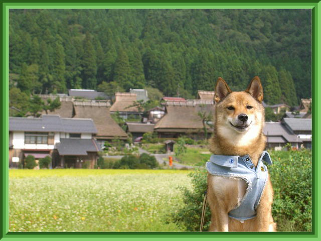 古風