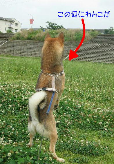 立て、立つんだ〜、たけ像