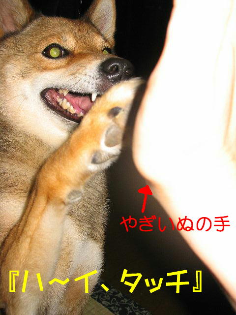 タッチ