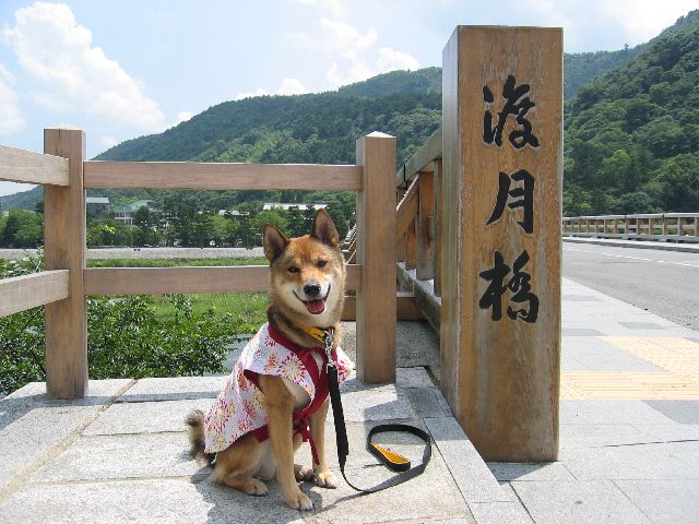 観光地でも・・・