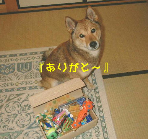 カウプレいただきぃ〜