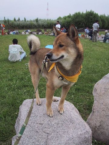 石の上へ