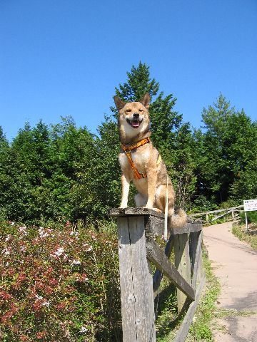 どこでも