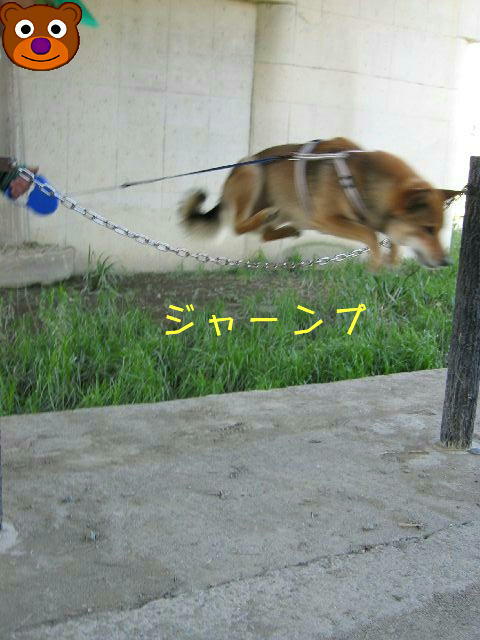 ジャンプ
