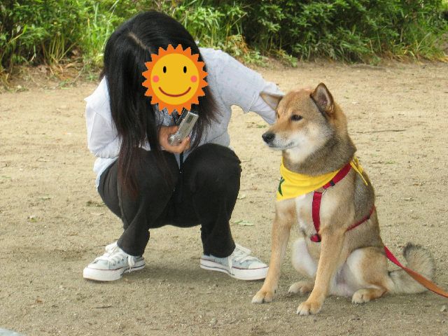 なでられても