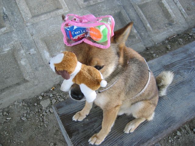 ダブルのせ