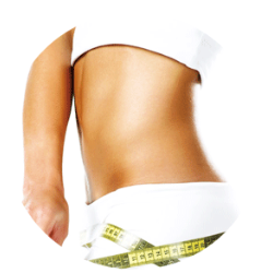 引き締まったボディーを