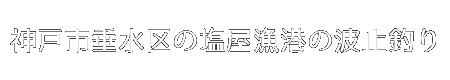 神戸市垂水区の塩屋漁港の波止釣り