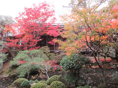 しらさか推拿整体