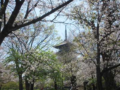 しらさか推拿整体