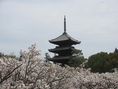 しらさか推拿整体