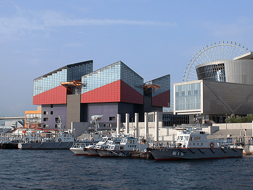 こどものための博物館情報 Hassanのお出かけメモ No 17 大阪 海遊館