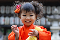 向日神社 七五三 京都