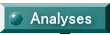  Analyses