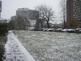 University