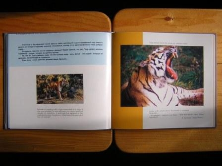 SK090603.JPG - 68,049BYTES