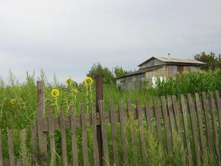 SK120605.JPG - 37,693BYTES