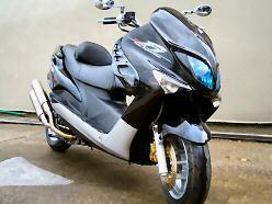 ���}�n �}�W�F�X�e�B125