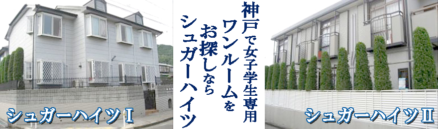 _ˏqwẼ[