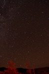 星空の写真7