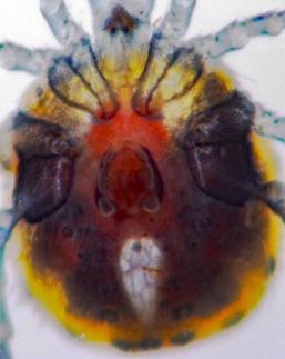 IE̊G

AI Rec͌܂މ\܂B