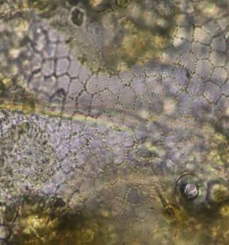 , r, ,  ܂܂Ă摜

AI Rec͌܂މ\܂B