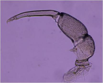 , , , j ܂܂Ă摜

AI Rec͌܂މ\܂B