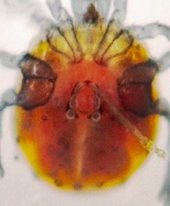 M̏ɂt[c

AI Rec͌܂މ\܂B