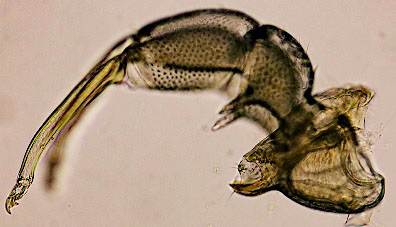 , L, bk,  ܂܂Ă摜

AI Rec͌܂މ\܂B