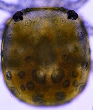 S̃}[N

AI Rec͌܂މ\܂B