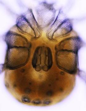  ܂܂Ă摜

AI Rec͌܂މ\܂B