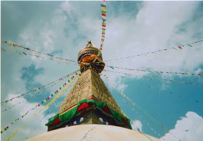 �{�_�i�[�g