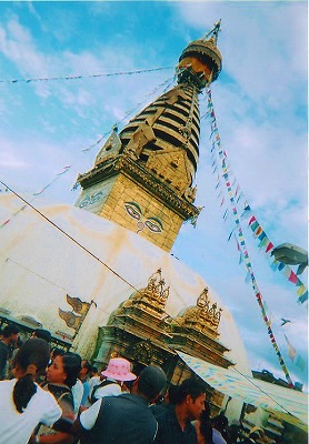 �X������