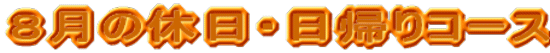 �W���̋x���E���A��R�[�X
