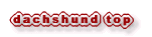 dachshund top 